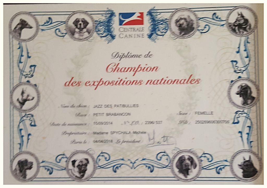 Des Petits Churros - CHAMPION DES EXPOSITIONS NATIONALES 2018